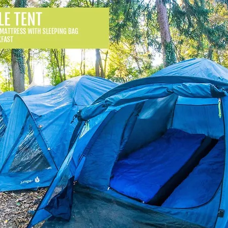 Campsite La Tomatina Camping And Dorms